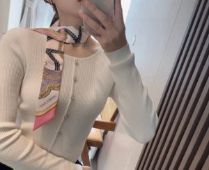 Feast Twilly Hermes 2025 100% mulberry silk, 18 momme twill silk 86X5Cm double-s