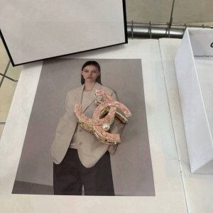 Comes with packaging box Chanel's latest popular small Chanel claw clip, super b