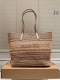 Coach raffia tote bag Very gentle color, suitable for all styles of summer outfi