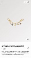 LV Keychain Official Website M01188 Bag Charm Spring Street Chain bag charm tran