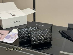 comes with a folding box Size: 19*12Cm Chanel classic fortune bag Woc The quali