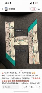 Hermes' new Twilly, made of top-grade twill silk with a classic horse pattern, h