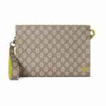 This premium clutch is a masterpiece from the Pre-Fall 2025 collection. Expertl