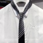 Dior's new classic tie. A rare choice showcasing exquisite craftsmanship and sty