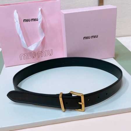 Antique Gold Buckle. The Font Does Not Fade. Miu Miu Metal Buckle. The Belt Loop - Click Image to Close