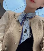 H's new silk scarf, Parisian dog 100% heavy silk twill, Herm