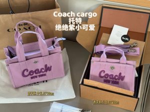 comes with box Size: 20*15cm small 25*20cm medium Coach C Cargo Tote Tote bag i