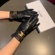 2025 New Exclusive First Release Touchscreen Gloves Celine Original Quality, Off