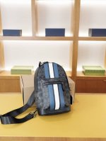 A high-end chest bag from Coach's official website, a timeless and iconic produc