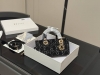 with box Dior Lady horizontal version Princess Diana bag 2025 Dior new bag styl