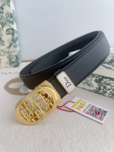 Product Name: Dior. Dior Automatic Belt Model: Automatic buckle, pure steel aut