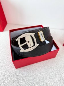 Product Name: Cartier Original Single Belt, Leather Belt Model: Pin Buckle, Orig