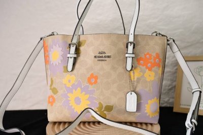 Style: Cbt21 C's new Mollie Tote 25 is a small size tote with plenty of compart