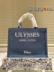 Original embroidered Dior jacquard tote bag original quality Dior Book Tote is m