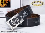 Belt: Herm