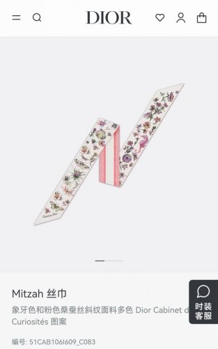 Do2513 Double-layer double-sided 6X105Cm twill silk Dior Cabinet De Curiosit