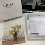 A pair of Celine Arc de Triomphe small side clips/bangs clips with packaging box