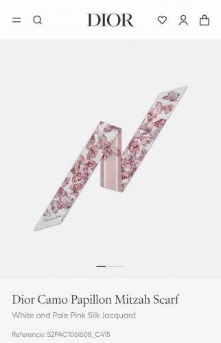 Do2526 Double-layer double-sided 6X105Cm twill silk Dior Camo Papillon DDD