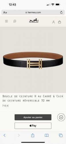 Special H Au Carre Hardware With Togo Belt 32Mm Golden Brown
