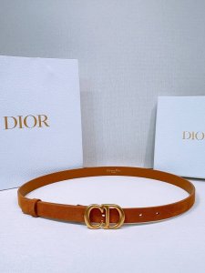 Dior Ceinture Saddle Cuir De Veau Su