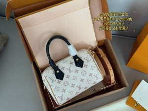 comes with a box Size: 20*14Cm L's Speedy20 dune color, Isn't this much better