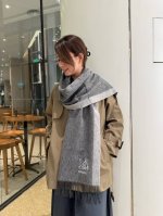 2610 Hermes scarf, a rare and gentle color scheme, understated yet elegant. High