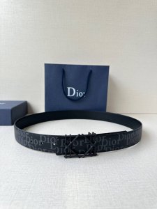 Dior Width 3.5Cm This Stainless Steel Metal Belt Buckle Is A New Addition To The