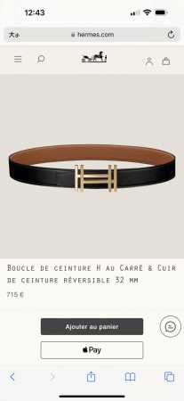 Special Edition H Au Carre With Metal Hardware And Togo Leather Strap, 32Mm, Gol - Click Image to Close