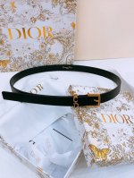 Dijia Saddle Loop BeltThis Saddle Loop Belt is a new item in the 2025 autumn ser