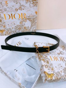 Dijia Saddle Loop BeltThis Saddle Loop Belt is a new item in the 2025 autumn ser