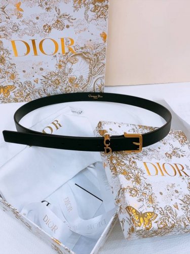 Dijia Saddle Loop BeltThis Saddle Loop Belt is a new item in the 2025 autumn ser