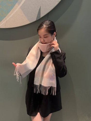 New Arrival! Loewe's rare gentle color scheme, understated yet elegant. Highly r