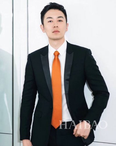 Men's new tie series H jacquard tie, rare H family has a thousand different prin