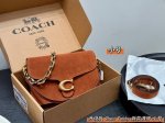 Gift box packagingReplica editionCoach suede leather Chain Tabby family Dionysus