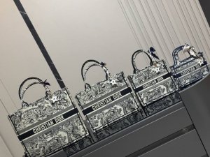 comes with a folding box scarf DDD. Requires a star pendant and P30 DDD. Dior o