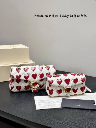 Gift box packagingSize 20*12cm 26*20cm Coach Tabby Dionysus chain bag limited ed