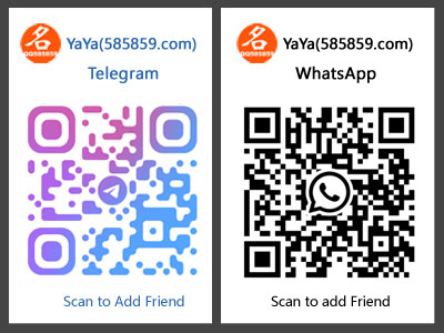 My WhatsApp
